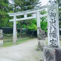 【奈良】東大寺の守護神 手向山八幡宮