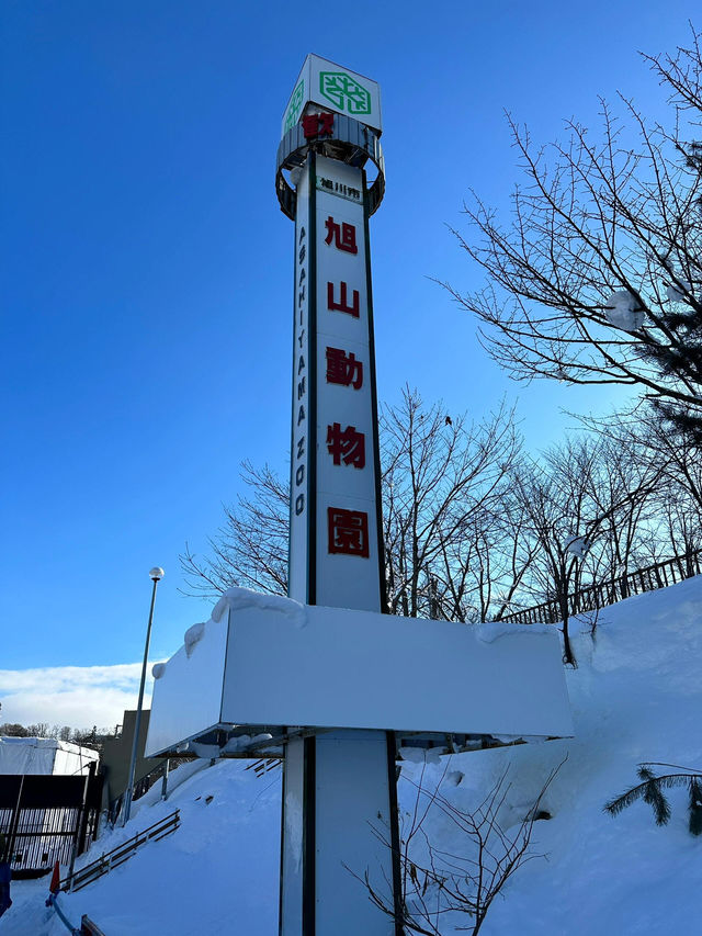 【旭川動物園｜北海道的雪國奇趣樂園】