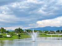 Wetland Wonderdeck – Serenity on the Water
