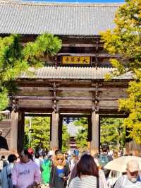Tōdai-ji, Nara - Home of the Great Buddha and Sacred Deer
