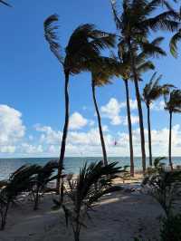 Unwinding on the Stunning Beaches of Mauritius
