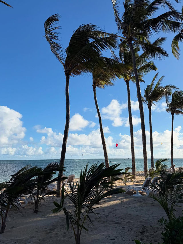 Unwinding on the Stunning Beaches of Mauritius