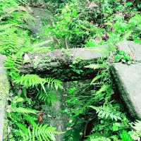 🕉️北鎌倉 円覚寺|四季を映す静寂の禅寺散策