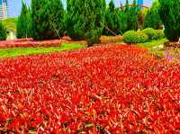 Xiuhu Park: The Heart of Yiwu’s City Life