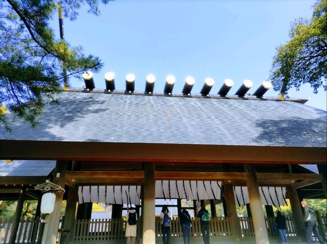 梅とグルメの一泊二日 梅とグルメの一泊二日