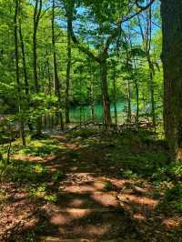 Lake Towada – A Mirror of Nature’s Beauty 🍂🌊