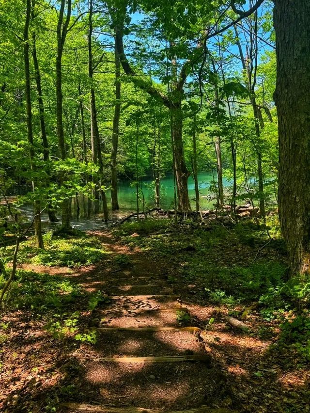 Lake Towada – A Mirror of Nature’s Beauty 🍂🌊