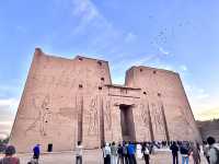 ［埃及旅遊］埃德夫神殿（Temple of Edfu）🦅法老的化身竟然有點可愛😍