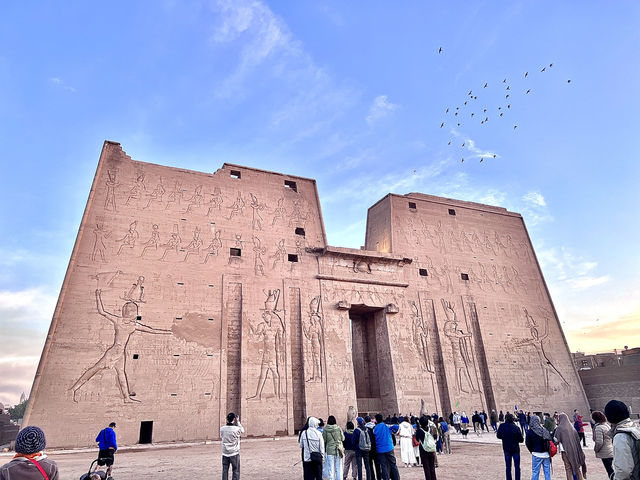 ［埃及旅遊］埃德夫神殿（Temple of Edfu）🦅法老的化身竟然有點可愛😍