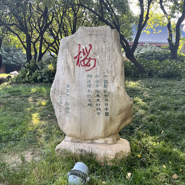 🕰 Day Trip in Xi’an — From Tang Dynasty Heritage to Modern Lights