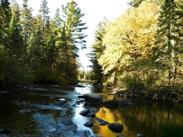 Algonquin Provincial Park Algonquin Provincial Park