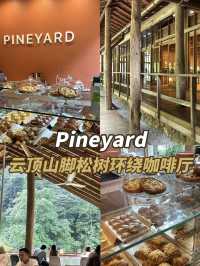 ✨ Pineyard Café – A Cozy Escape on the Way to Genting