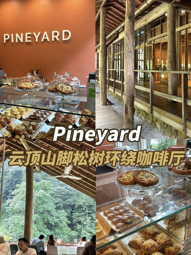 ✨ Pineyard Café – A Cozy Escape on the Way to Genting