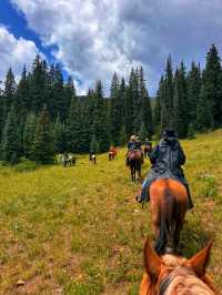 🌲 White River National Forest – Colorado’s Outdoor Wonderland
