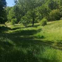 Barley Valley Nature Reserve – Hidden Hills & Meadows Above Exeter
