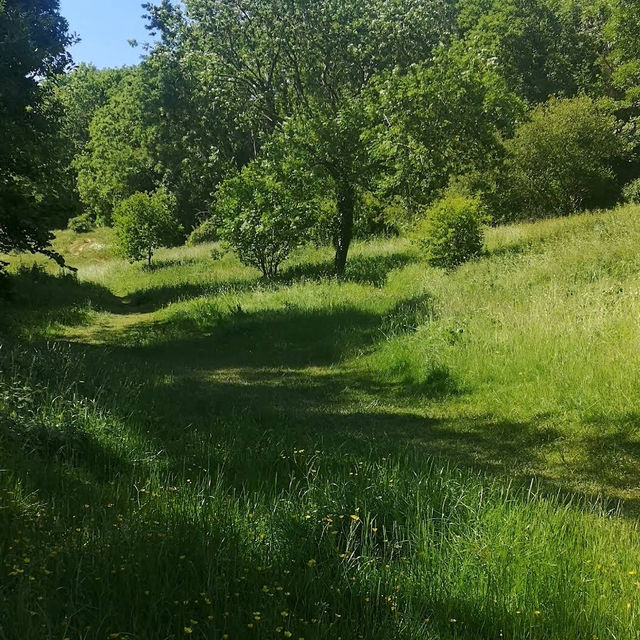 Barley Valley Nature Reserve – Hidden Hills & Meadows Above Exeter