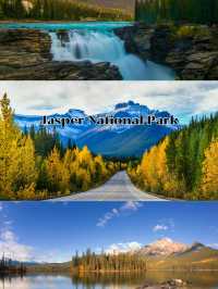 Jasper National Park 