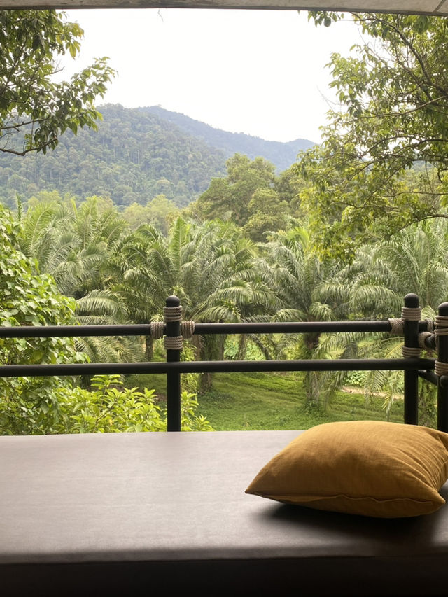 กะช่องฮิลล์ / Kachong Hills Resort Cafe & Bistro
