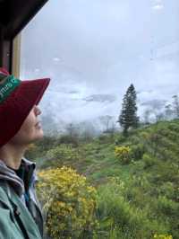 Cloud Kissed Views Fansipan