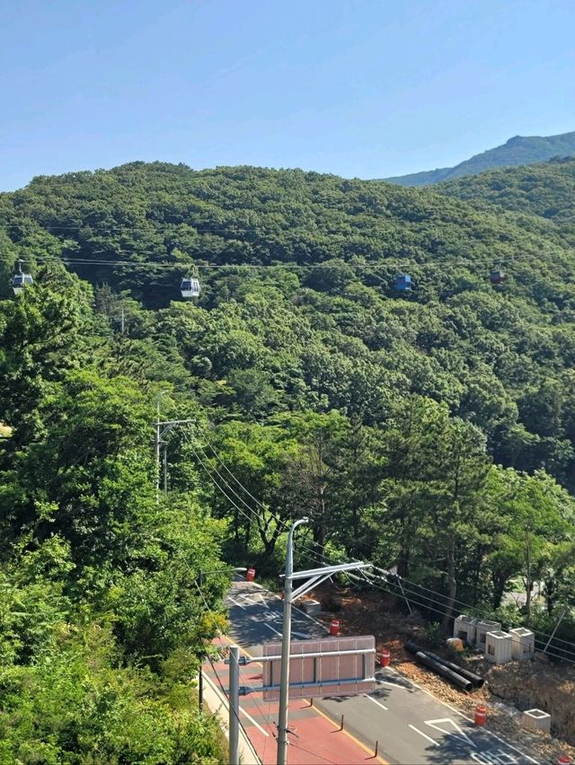 거제도 절경을 한눈에 담는 파노라마 케이블카💙