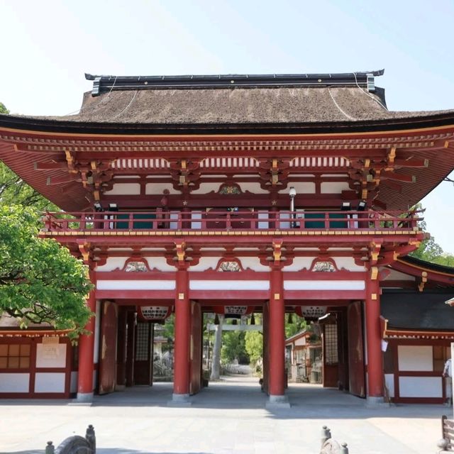 Dazaifu-tenmangu Shrineวัดดังฟุกุโอกะ