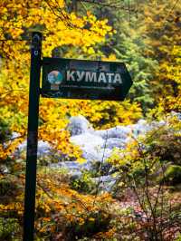 Walking the Stone River of Time on Mount Vitosha