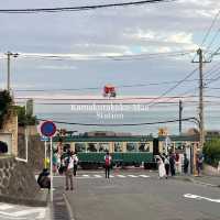  Discover the Timeless Charm of Kamakura & Enoshima Near Tokyo