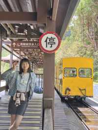 避暑勝地⛰️太平山與大自然的療癒時光