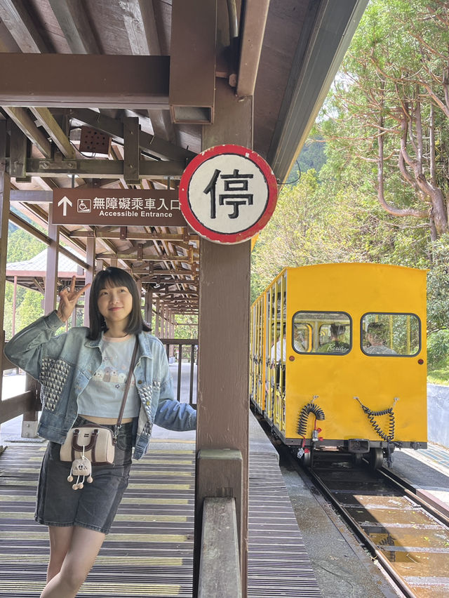避暑勝地⛰️太平山與大自然的療癒時光