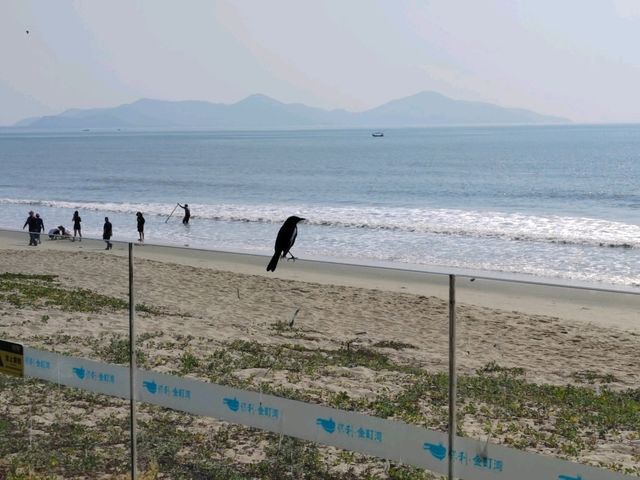 金町湾沙灘，七公里原生海岸線，水清沙幼白沙灘