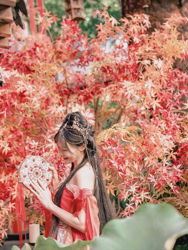 🥮中秋節快樂🥮🎑🤭  呢輯相其實6月就影咗,一直無時間處理🤭 適逢中秋佳節🥮同閨蜜不約而同覺得喺時候啦😂 兩個即刻加急處理批相🤭🤭  呢輯相其實喺一個生日驚喜🥰💜 閨蜜神神祕祕幫 🥮中秋節快樂🥮🎑🤭  呢輯相其實6月就影咗,一直無時間處理🤭 適逢中秋佳節🥮同閨蜜不約而同覺得喺時候啦😂 兩個即刻加急處理批相🤭🤭  呢輯相其實喺一個生日驚喜🥰💜 閨蜜神神祕祕幫