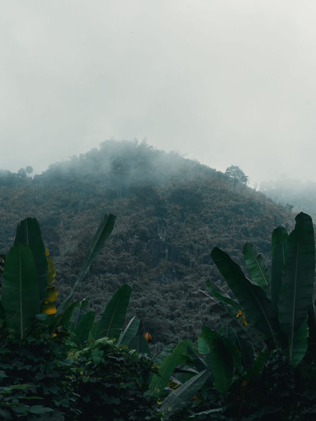 หุบเขา "ตีนไก่" บ้านนา จังหวัดนครนายก หุบเขา "ตีนไก่" บ้านนา จังหวัดนครนายก