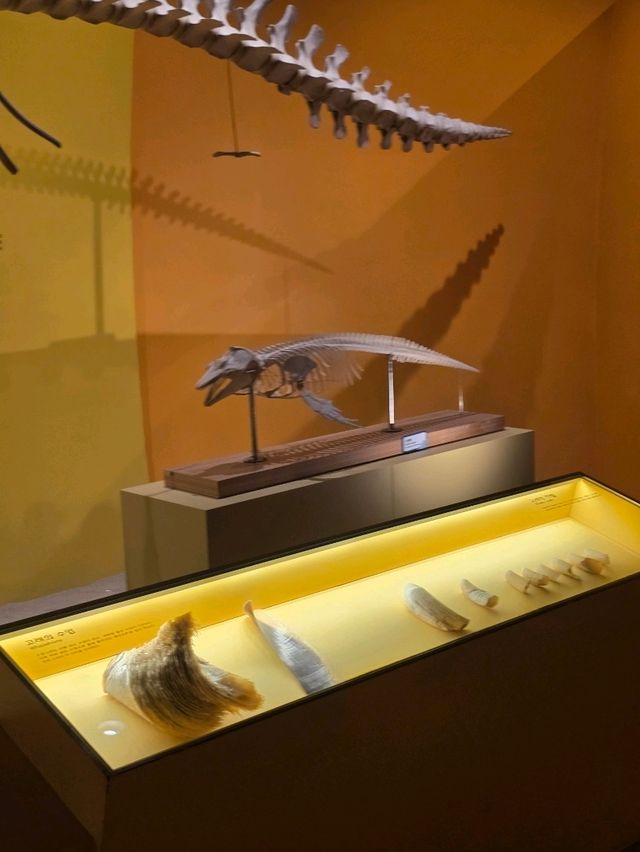 🐳 바다 생물의 거대한 세계, 고래 전시