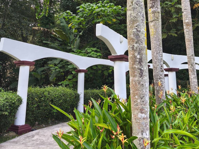 🌿 Nature Break at Taman Awam Metropolitan Relau