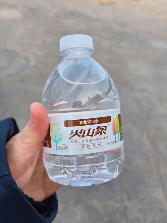 중국 대련 필수 맛집! 오픈 키친이 있는 고급 해물요리 '시딩 성게만두'