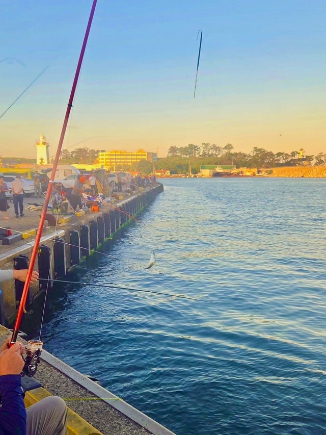 🎣 시원한 바다바람 맞으며 고등어 낚시 어때요?