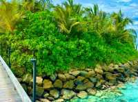 The Ritz-Carlton Maldives, Fari Islands — Refined Luxury in Every Detail