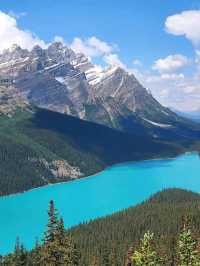 Jaspwe Rockies