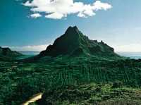 Clipperton Island -  Uninhabited Island