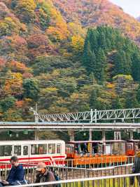 🍁단풍으로 짙게 물든 쿠로베 협곡과 에메랄드 빛 강을 볼 수 있는 가을 ‘쿠로베 협곡 토롯코 열차’