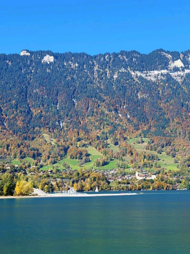 Sunny Peaks View⛰️