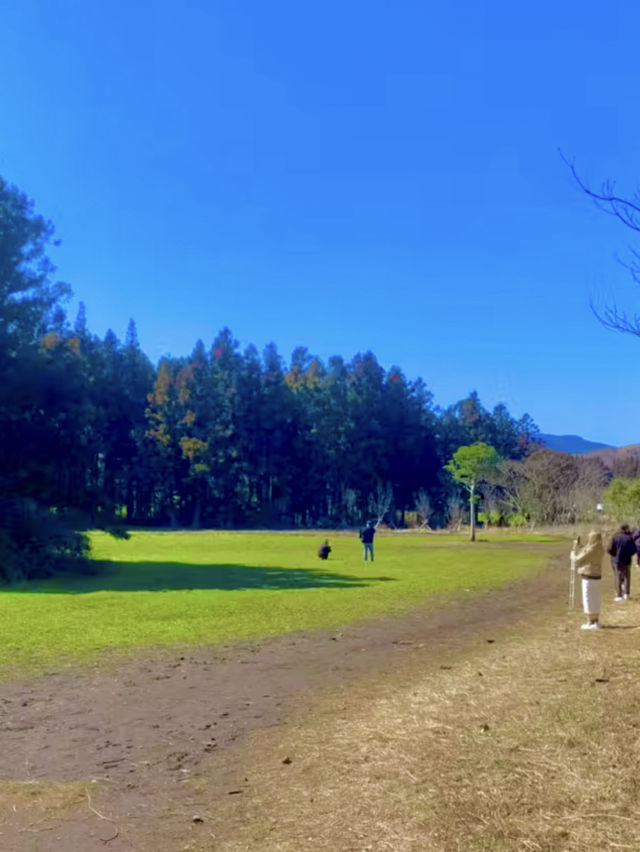 잊을 수 없는 가을 야외데이트 🍁🌿 제주 비밀의 정원