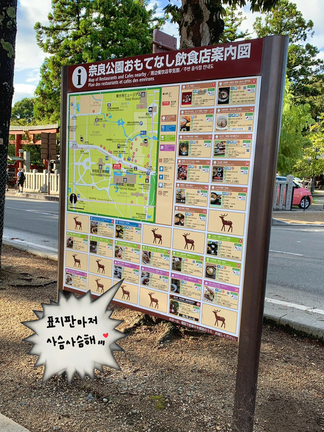 정말 나라는 “사슴의 도시”란 말이 딱이에요!🫎✔️
