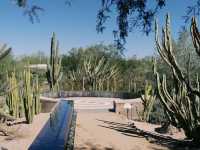 Desert Botanical Garden