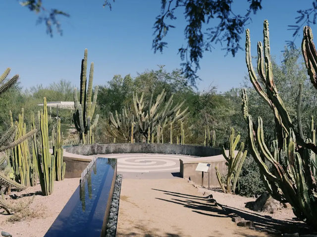 Desert Botanical Garden