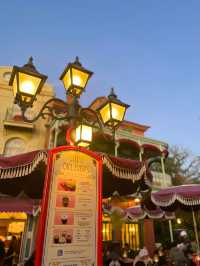 【 私の大好きなディズニーランド🎄 】