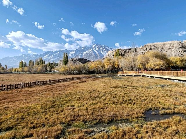 Autumn Wetlands and Snow-Capped Peaks Reflecting Each Other in Taxkorgan