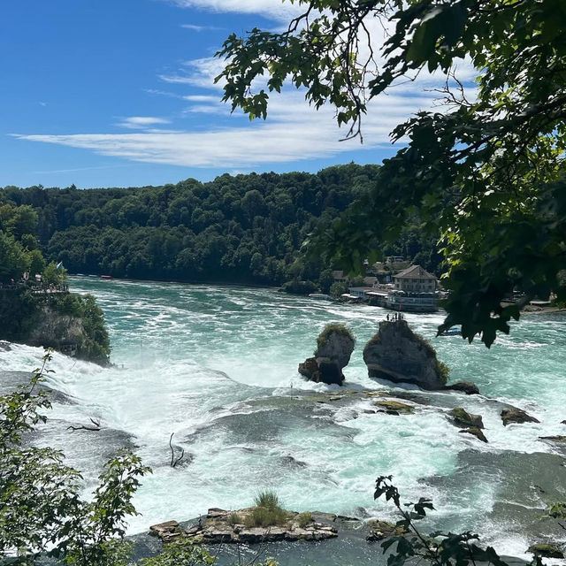 Roaring Beauty of Rhine Falls 