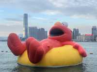 香港好去處 | 金鐘添馬公園 | 維港海上大巡遊