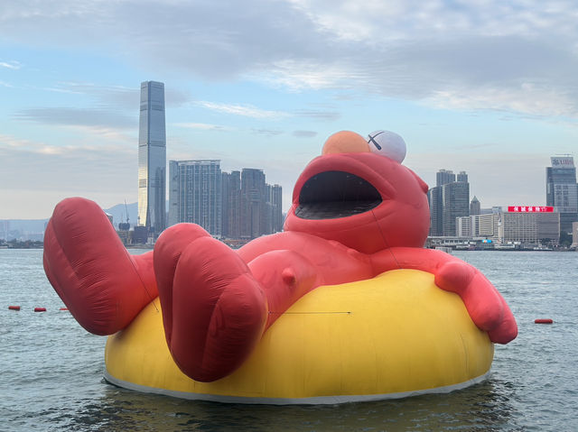 香港好去處 | 金鐘添馬公園 | 維港海上大巡遊